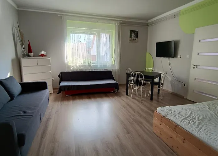 Regina Vendeghaz Miskolc