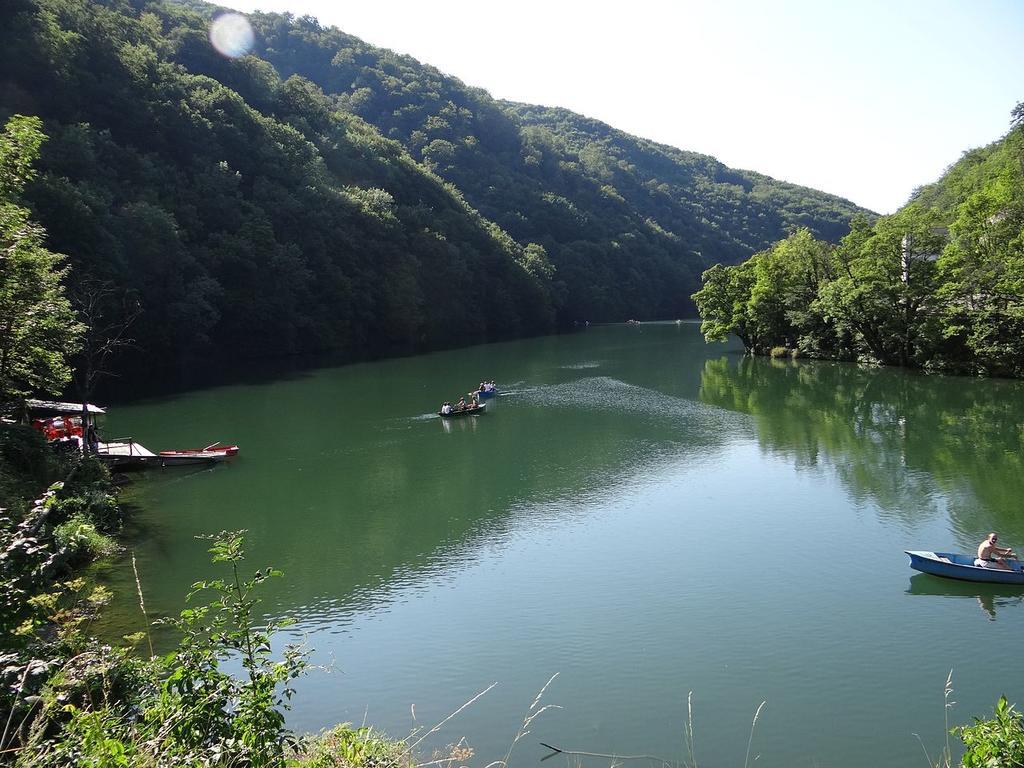 Regina Vendeghaz Miskolc